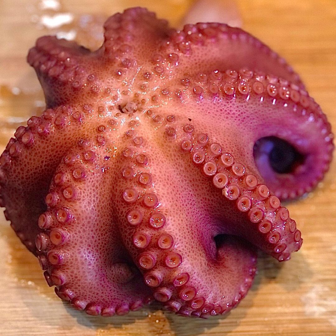 kau_olliver_1737306203781